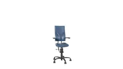 Spinalis ergonomischer Drehsessel